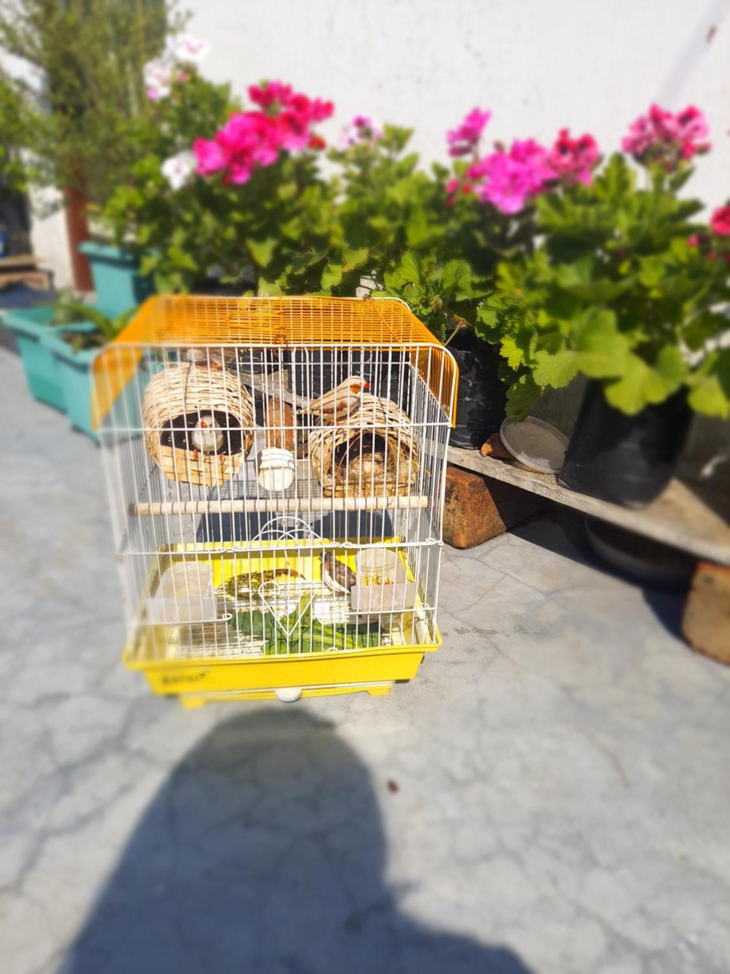 Langdak Homestay Νταρτζίλινγκ Εξωτερικό φωτογραφία